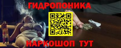 гашик Канаш